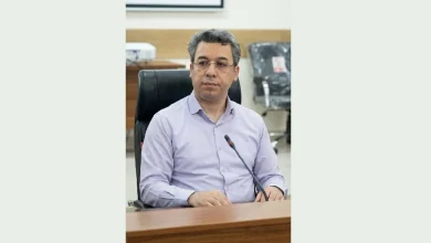 تصویر از پارادایم‌شکنی در کتابداری؛ از نقد تقدس‌زدایی تا ضرورت گزینش‌گری هوشمند در مطالعه